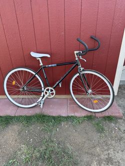 Single Gear Bike