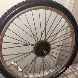 Bike Tire Rear