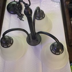 Ceiling Light Fixture 