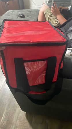 Uber eats GrubHub bag