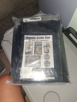 Magnetic screen door
