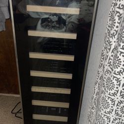 wine fridge 