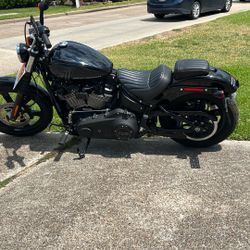 2024 Harley Davidson Street Bob