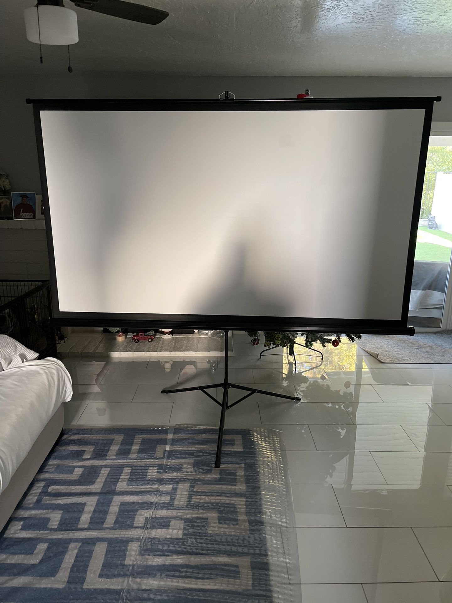 Projector Screen