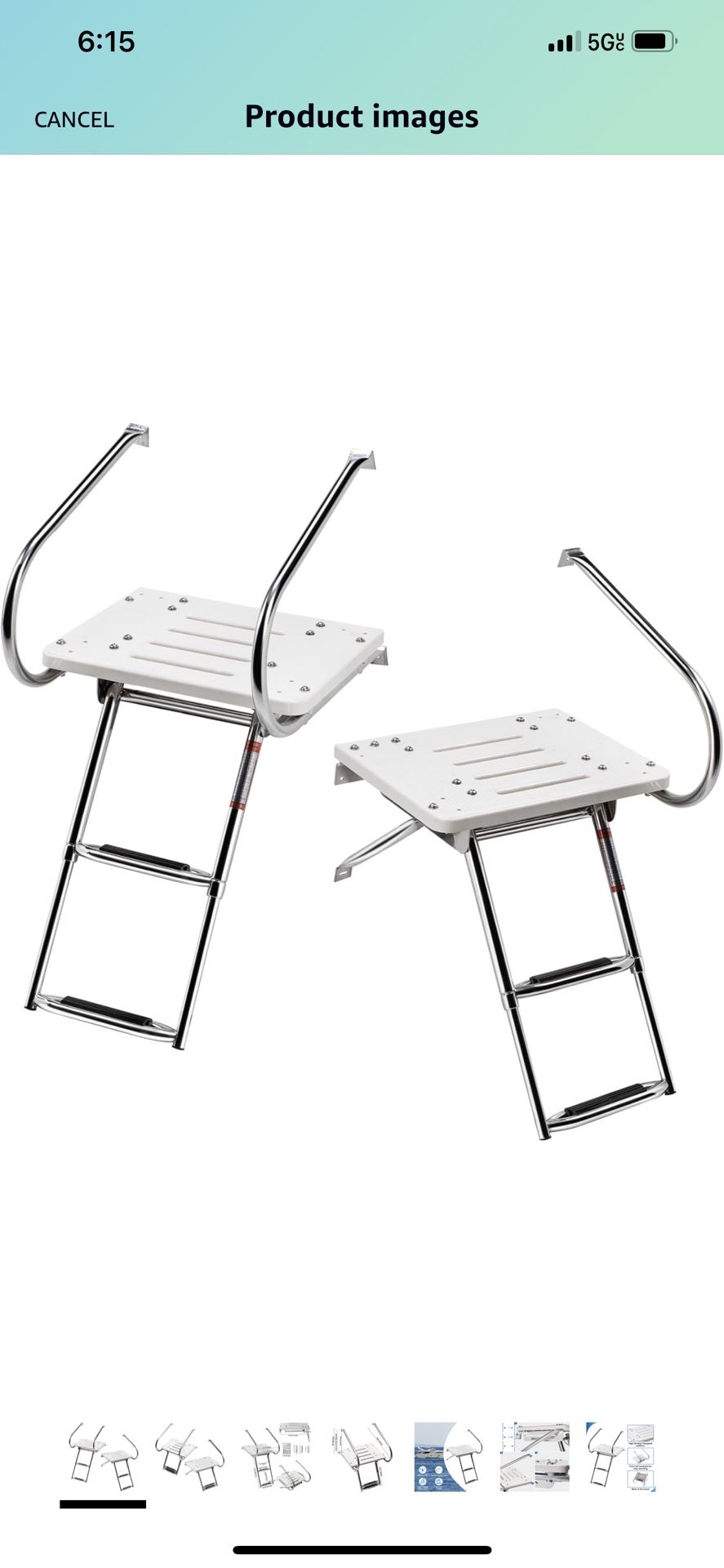 Swim Ladder & Platform 2 Step
