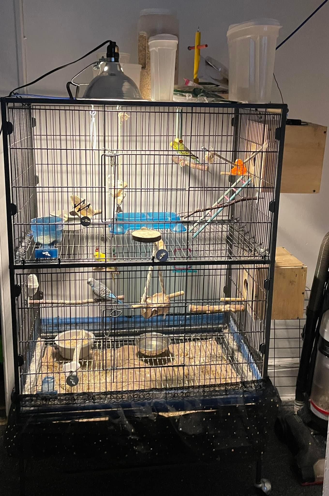 Metal Bird Cage