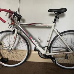 Completely Refurbished Schwinn