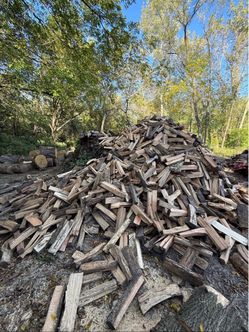 Seasoned Firewood