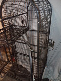 Bird Cage