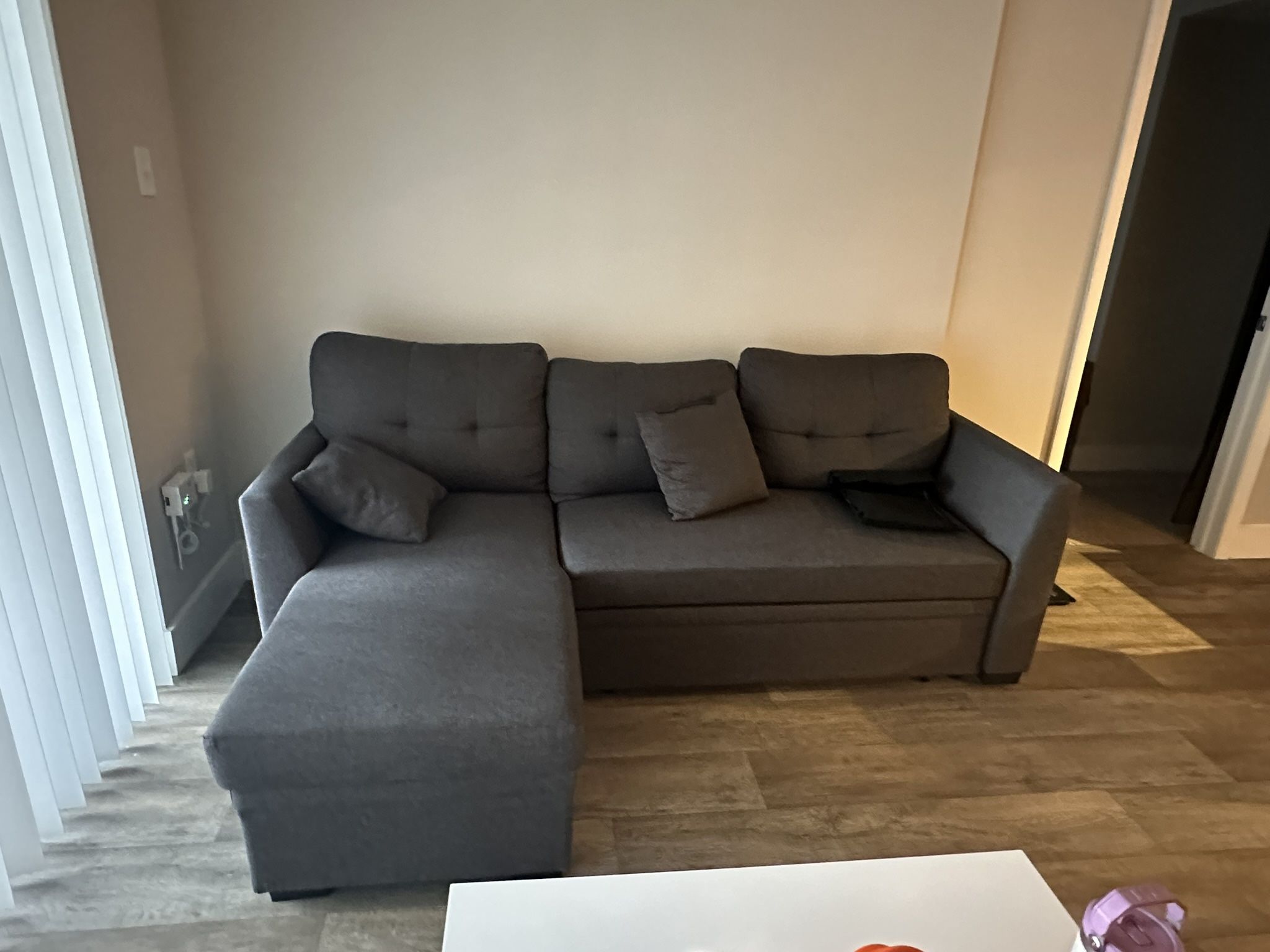 Sleeper Sofa - Brand New!