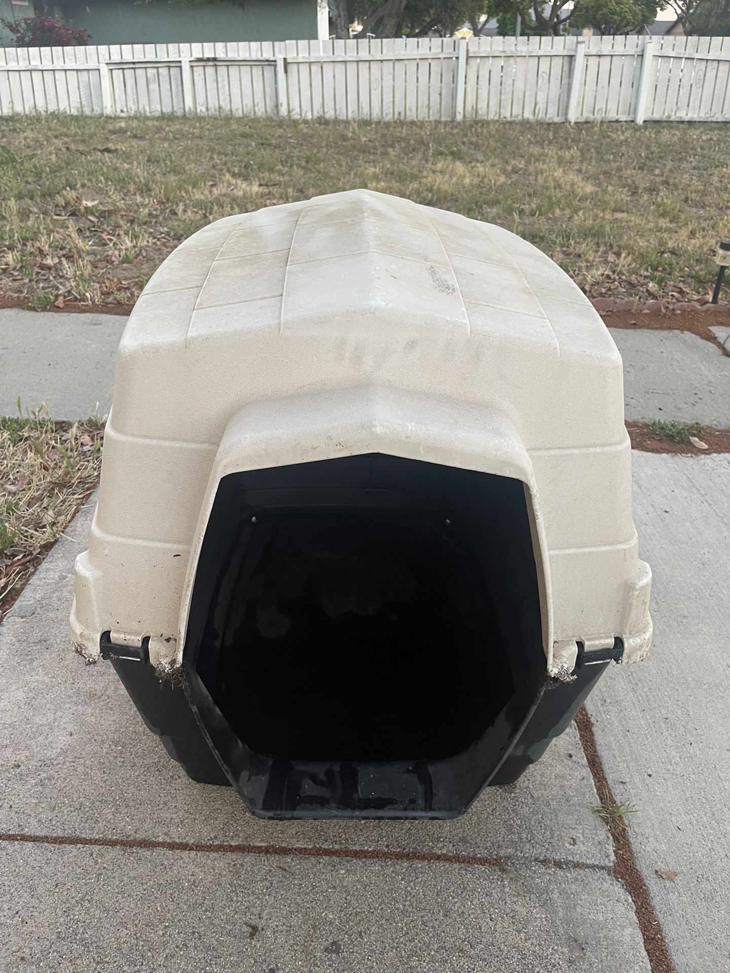 Dog House 