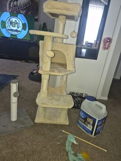 Cat items for sale