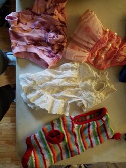 Small dog dresses and sweaters sz small