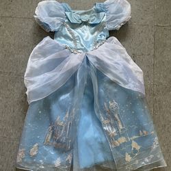 Cinderella Custome