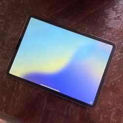 iPad Pro 11 inch 2nd Gen 256GB
