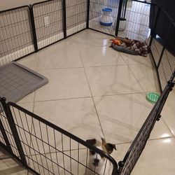 FXW Homeplus Indoor Dog Playpen, Black, 40-in, 12-panel