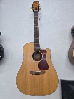 Guild Guitar