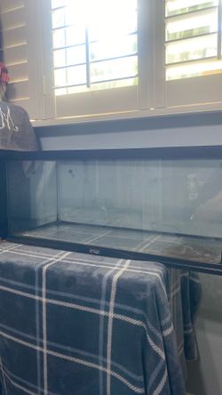 Zoo med 20 gallon tank used