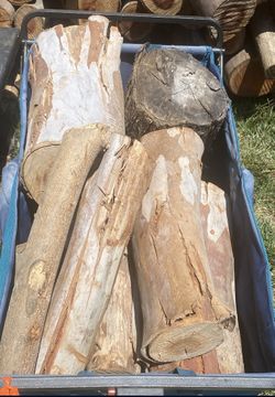 Firewood. For Beach Fires At Fiesta Island Or The Bay.