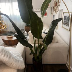 House Plant (fake)
