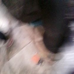 Macwheel Electric Scooter 