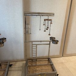 bird stand