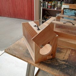 Bird Transport Box 