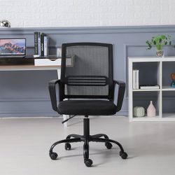 Office Desk Chair (Price Is Firm)