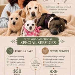SENIOR & SENSITIVE DOG CARE – HOME STYLE BOARDING + SPECIAL SERVICES 🐾