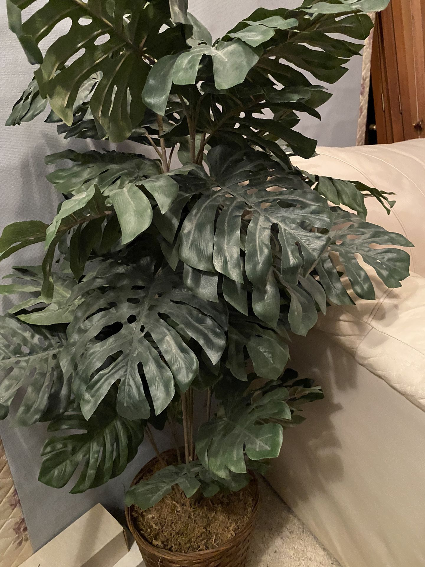 Fake Plant 