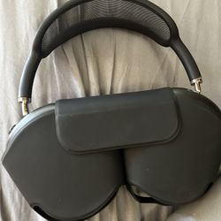 Apple Headphones 