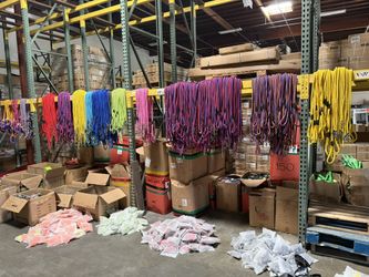 Bulk Pet Accessories Lot