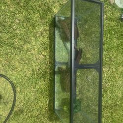 Large Terrarium For Reptiles
