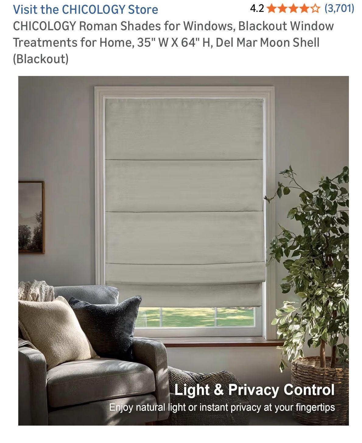 Blackout Roman Shade $30 Each