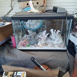 Fish Tank