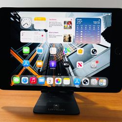 Apple iPad Mini 5 64GB Fully Functional