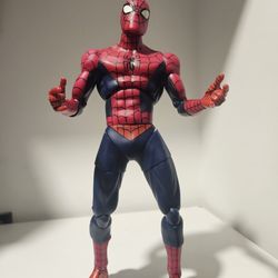 The amazing spiderman 2005