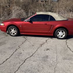 2000 Ford Mustang