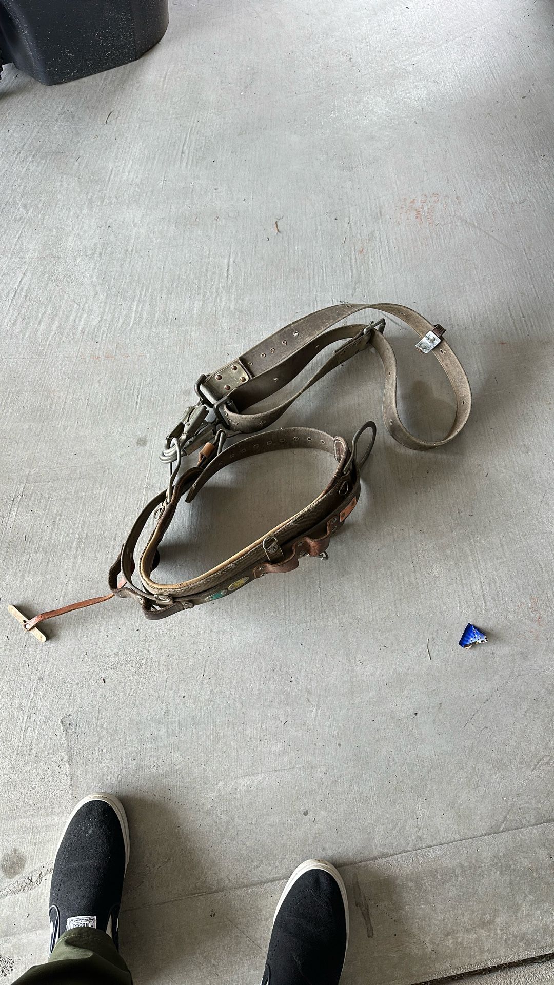 Pole/Tree Climbing Belt