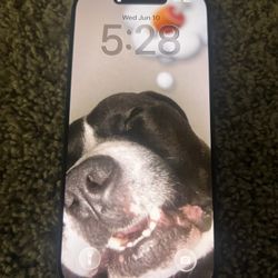 Apple iPhone 17  