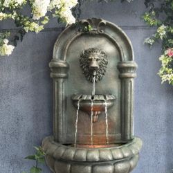 Water Fountain Lion Head