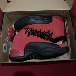 Jordan 12 