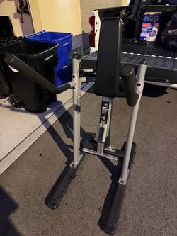 Precor Dip and Knee Raise Station