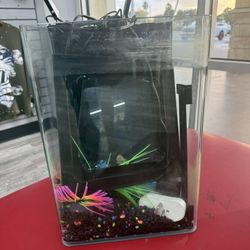 Aquarium Small