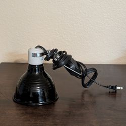 Reptile Lamp with Zoo Med heating night bulb & white day bulb