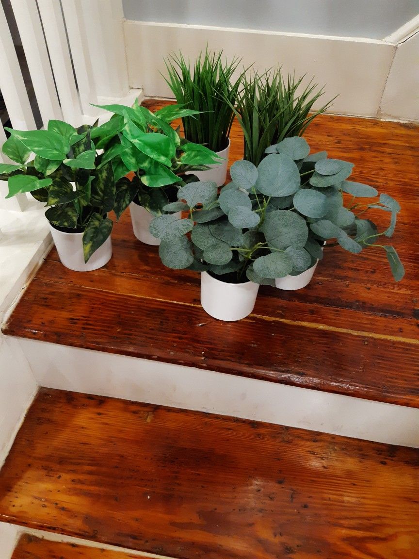 Fake Plants ($18.00 For All 6)