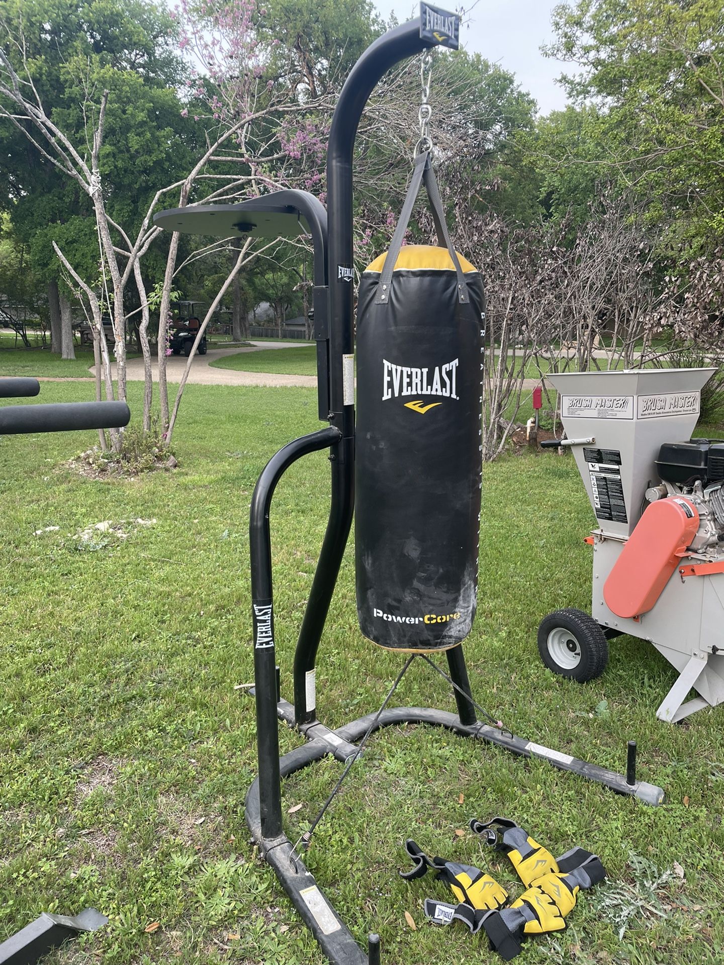 Everlast Punching Bag And Dual Heavy Duty Stand