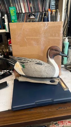 DUCK DECOY