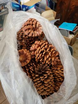 1 Bag Of Pine Cones For Prohects & Decor
