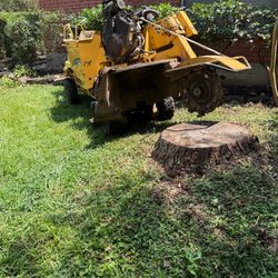 Stump Grinding 